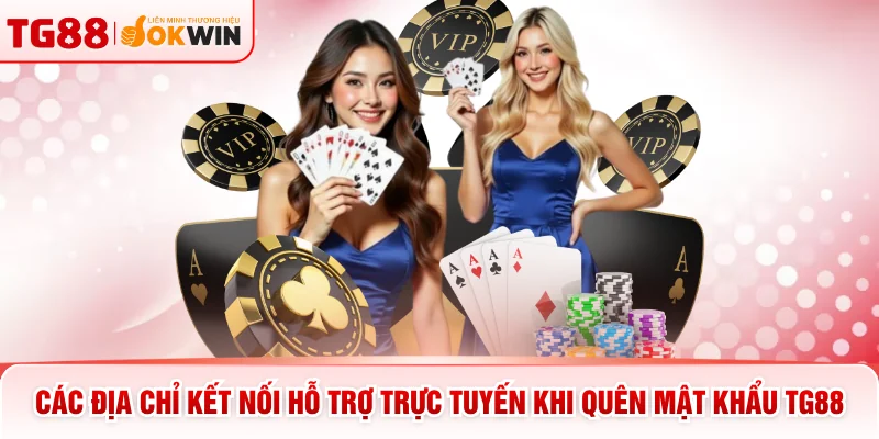 Các địa chỉ kết nối hỗ trợ trực tuyến khi quên mật khẩu TG88