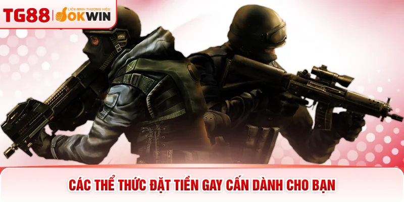 Các thể thức đặt tiền gay cấn dành cho bạn