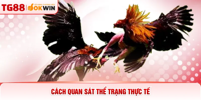 Cách quan sát thể trạng thực tế