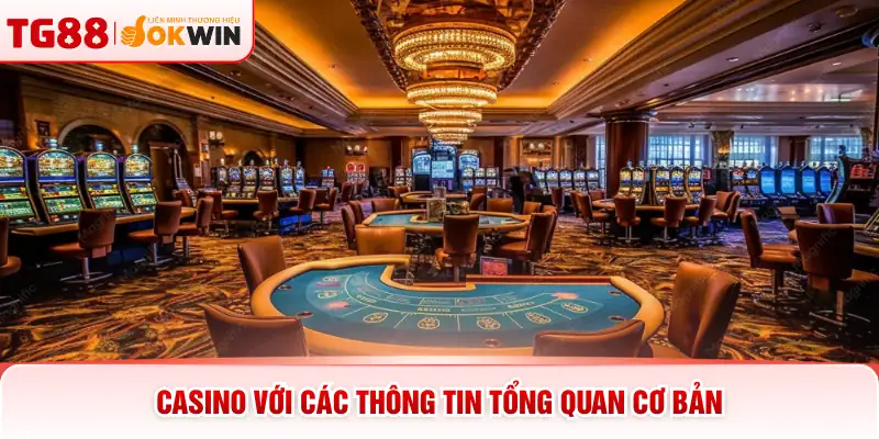 Casino với các thông tin tổng quan cơ bản