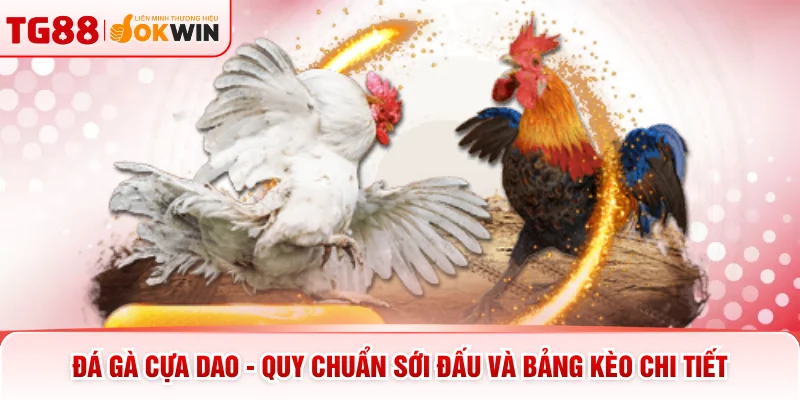 Đá Gà Cựa Dao - Quy Chuẩn Sới Đấu Và Bảng Kèo Chi Tiết