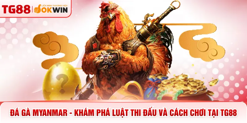 Đá Gà Myanmar - Khám Phá Luật Thi Đấu Và Cách Chơi Tại TG88