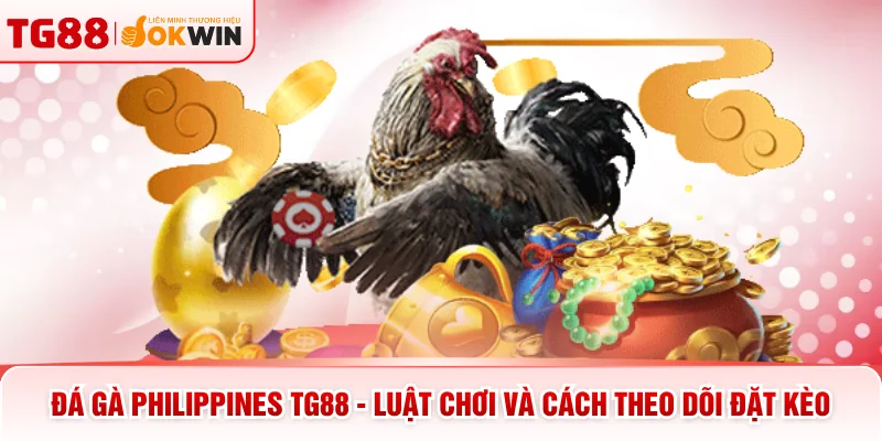 Đá Gà Philippines TG88 - Luật Chơi Và Cách Theo Dõi Đặt Kèo
