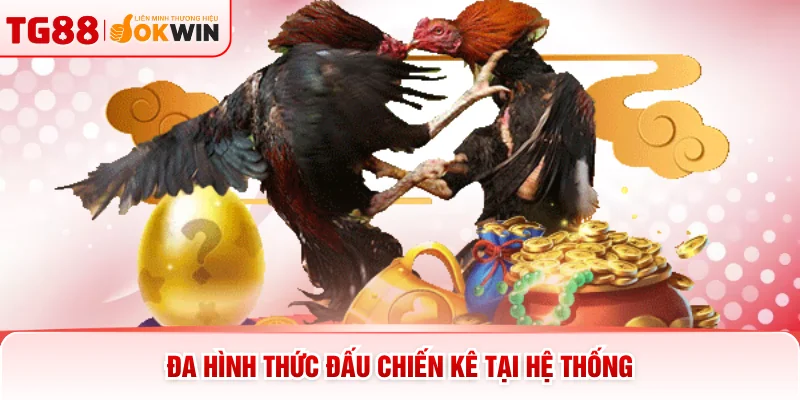 Đa hình thức đấu chiến kê tại hệ thống