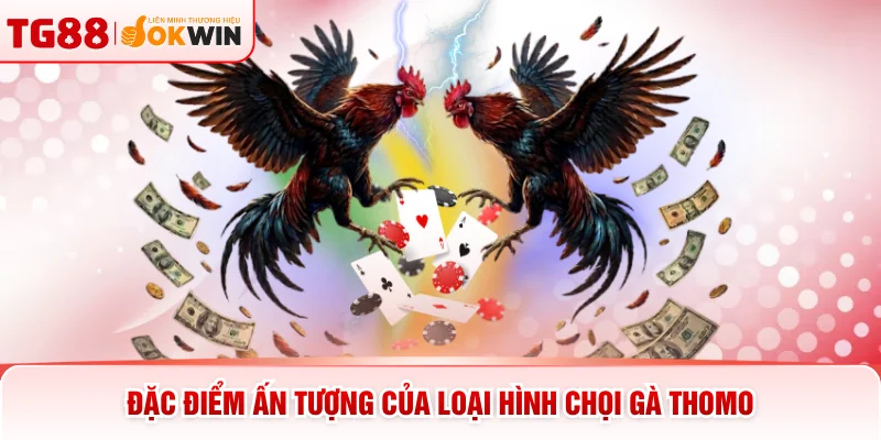 Đặc điểm ấn tượng của loại hình chọi gà Thomo