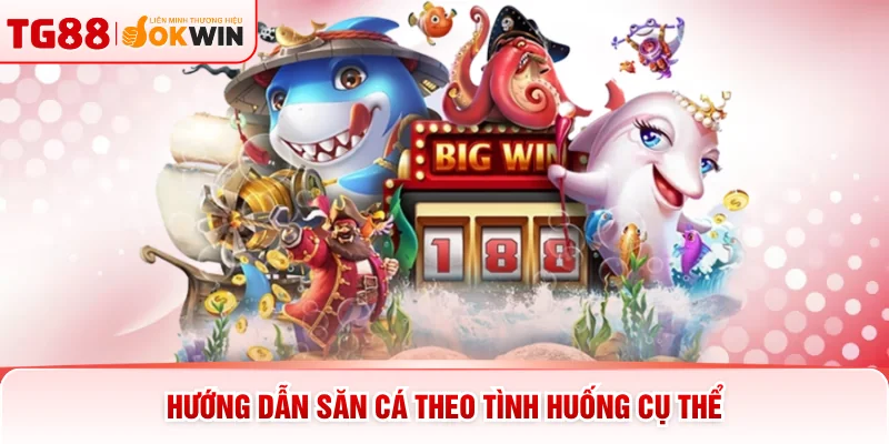 Hướng dẫn săn cá theo tình huống cụ thể