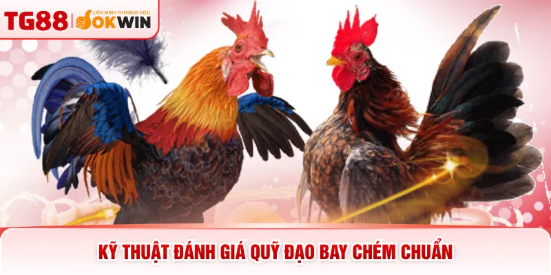 Kỹ thuật đánh giá quỹ đạo bay chém chuẩn
