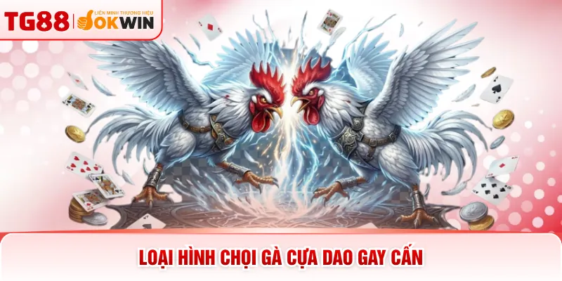 Loại hình chọi gà cựa dao gay cấn