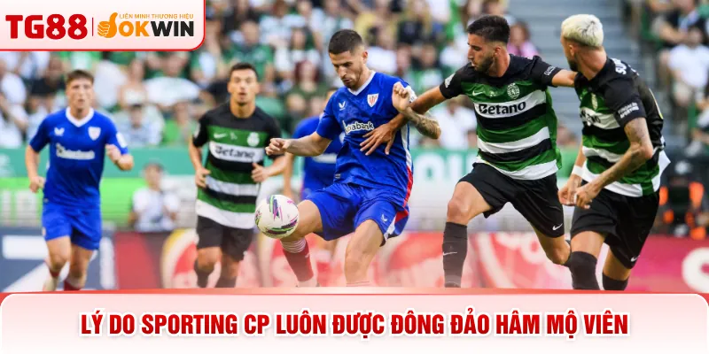 Lý do Sporting CP luôn được đông đảo hâm mộ viên