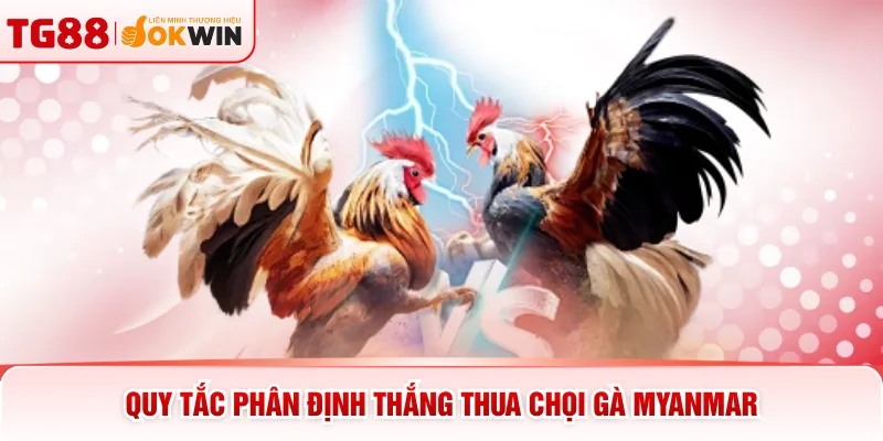 Quy tắc phân định thắng thua chọi gà Myanmar