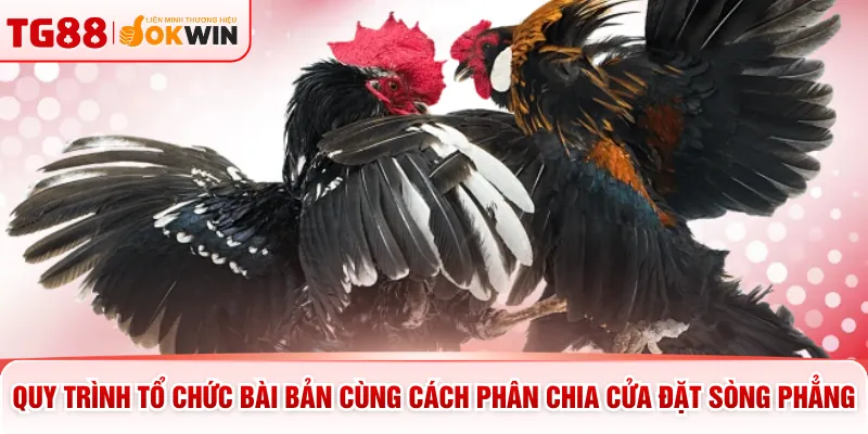 Quy trình tổ chức bài bản cùng cách phân chia cửa đặt sòng phẳng