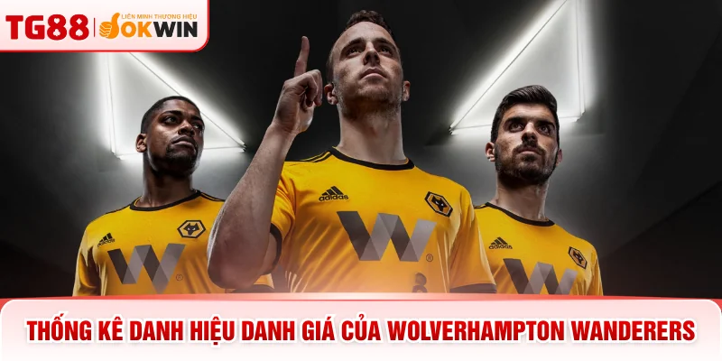 Thống kê danh hiệu danh giá của Wolverhampton Wanderers