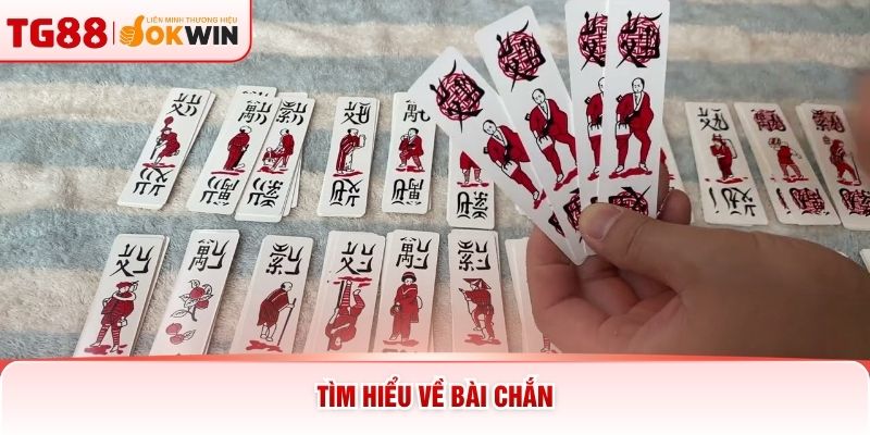 Tìm hiểu về bài chắn